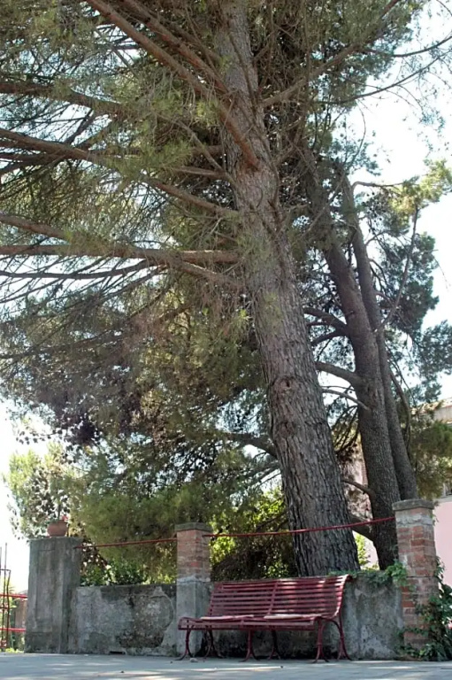 B&B Sotto i Pini