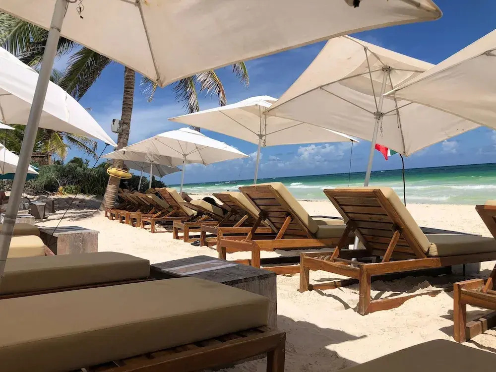 Gorgeous Loft Jungle Views and Premium Amenities