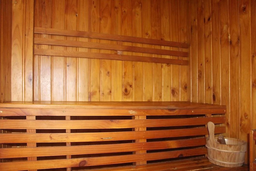 Leman Luxury Suite with Rooftop Pool & Gym