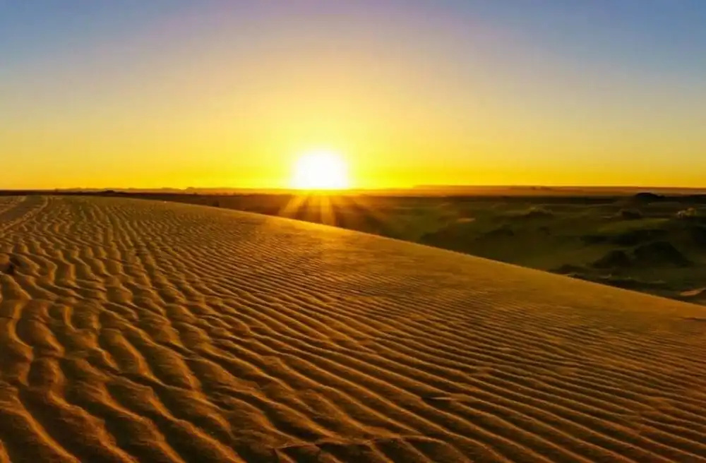Camp Sahara Dunes