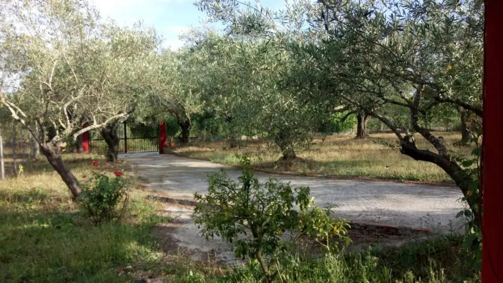 Eva's House
