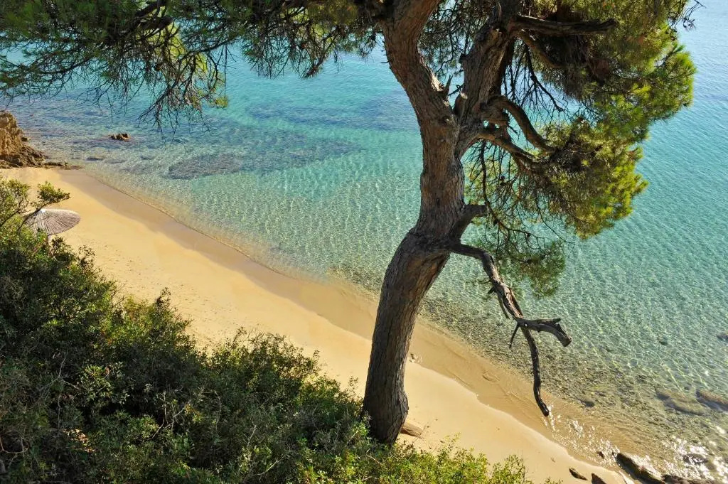 Luxury Villas Skiathos