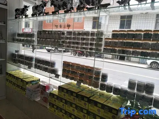 nanshan