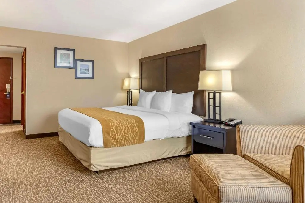 Comfort Inn & Suites Allen Park - Dearborn