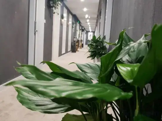 Deep Blue City Hostel