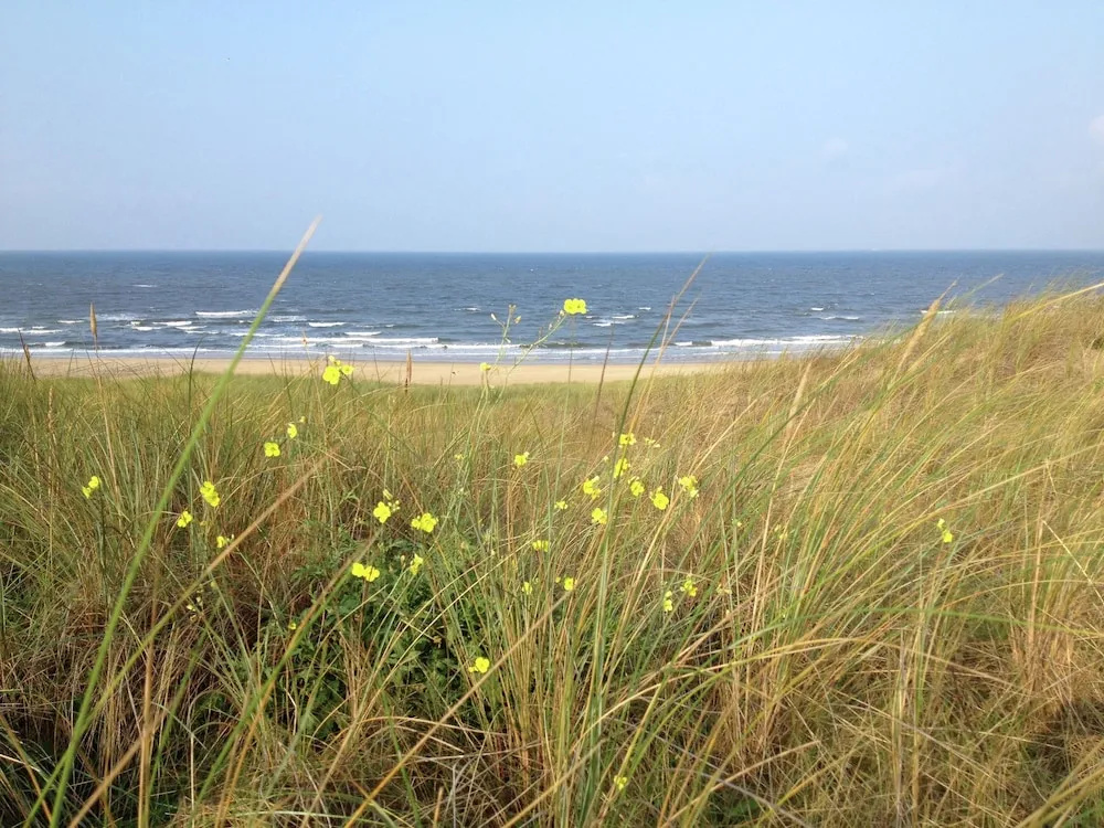 Apartment in Bergen aan Zee Near the Beach