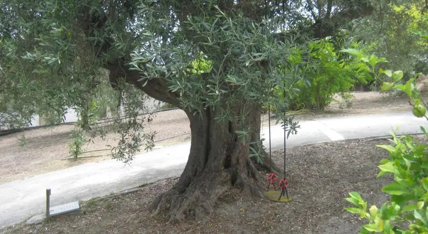 Holiday home La Quiete