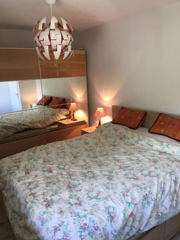 Appartement face au Mont Blanc & Glaciers