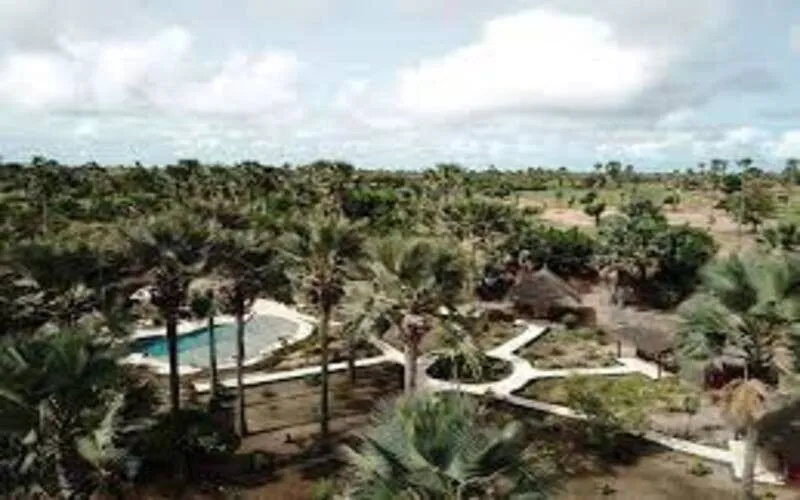 La Palmaraie de Ngor