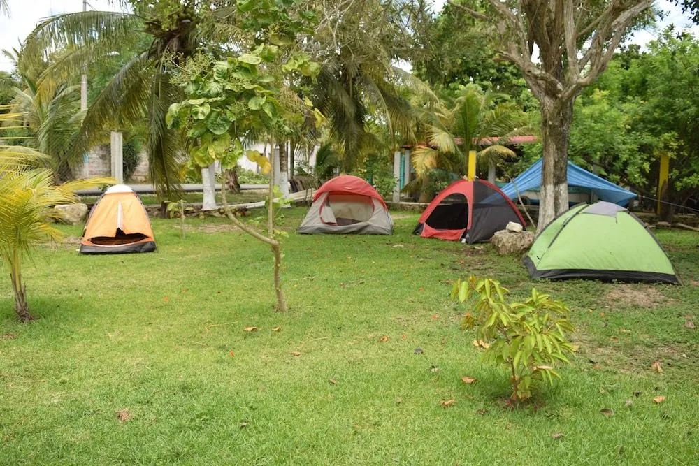 Camping Hostal El Árbol de la Vida
