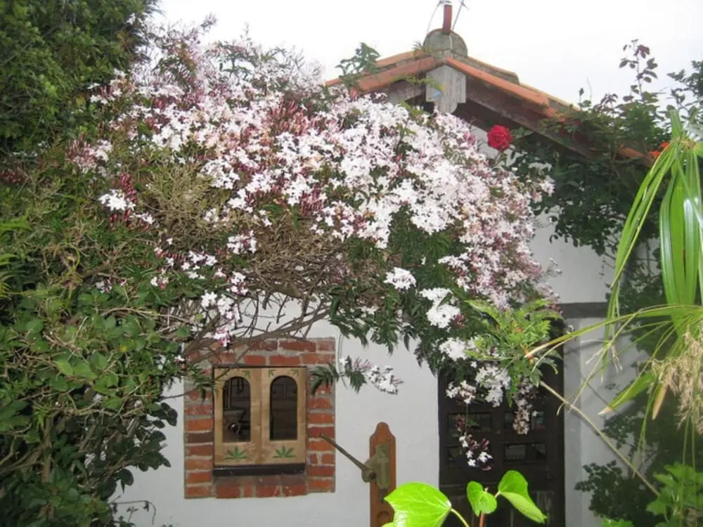 Casas Rurales Pradina I y II