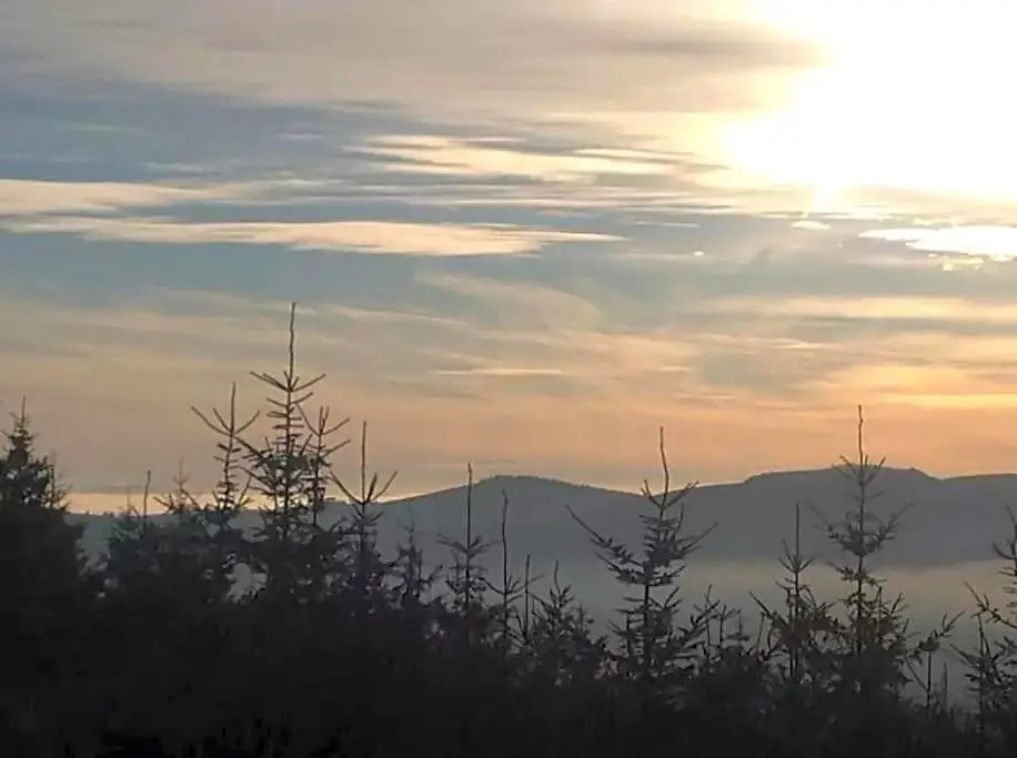 The Wicklow Escape