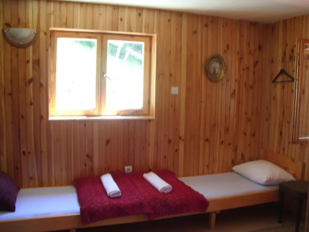 Apartment Vujisic