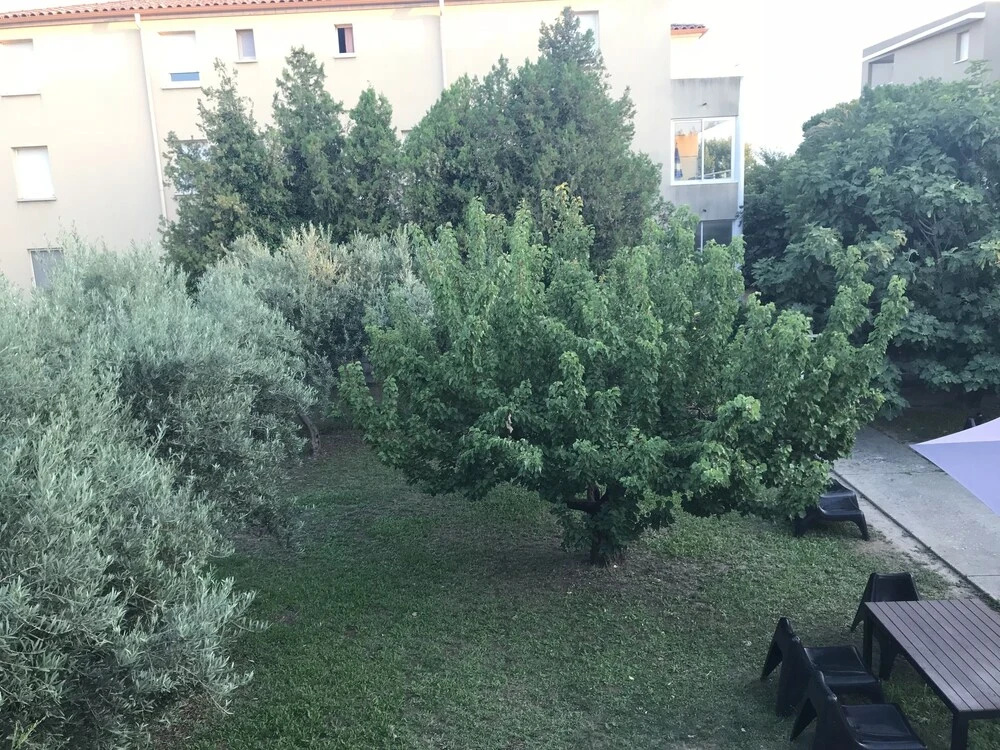 Appartement l'Olivier