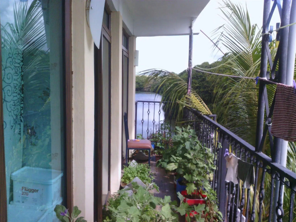Le Bamboo Guesthouse