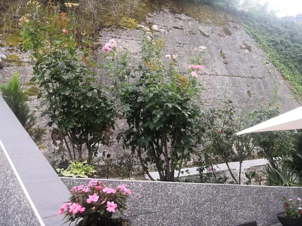 Il Roseto