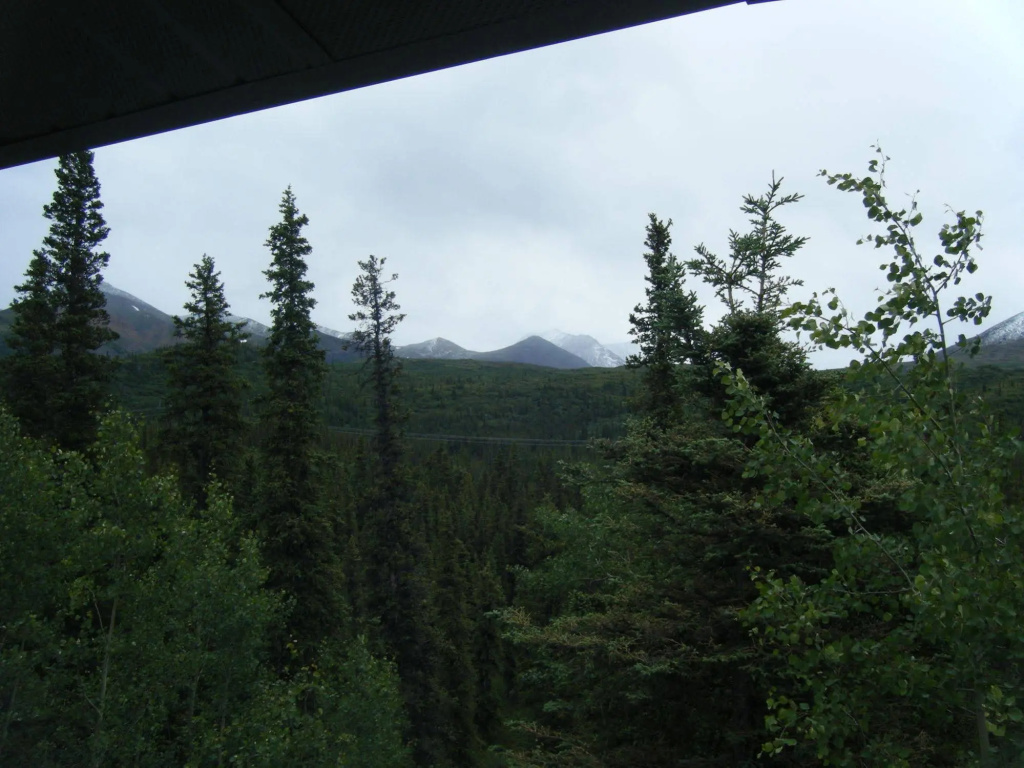 The Perch Resort