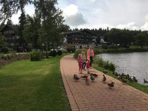 Fewo Andresen Hahnenklee