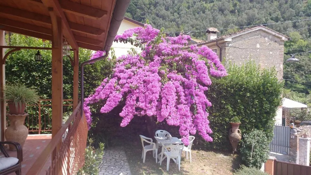 La Bouganville e Il Gelsomino