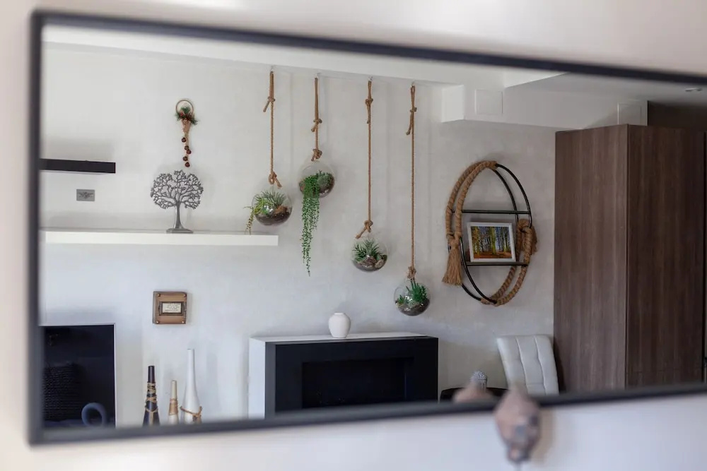 The Ravenscourt Park Collection