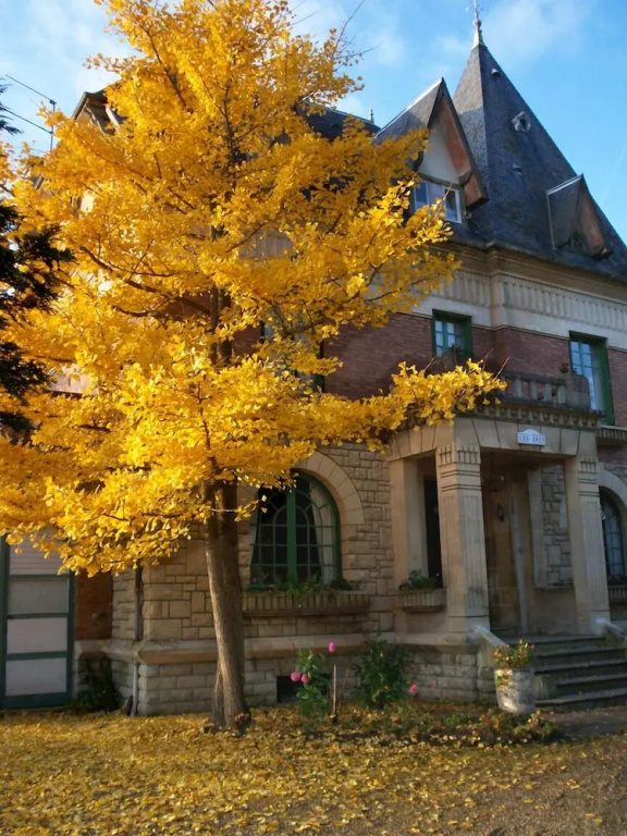 Villa Les Iris