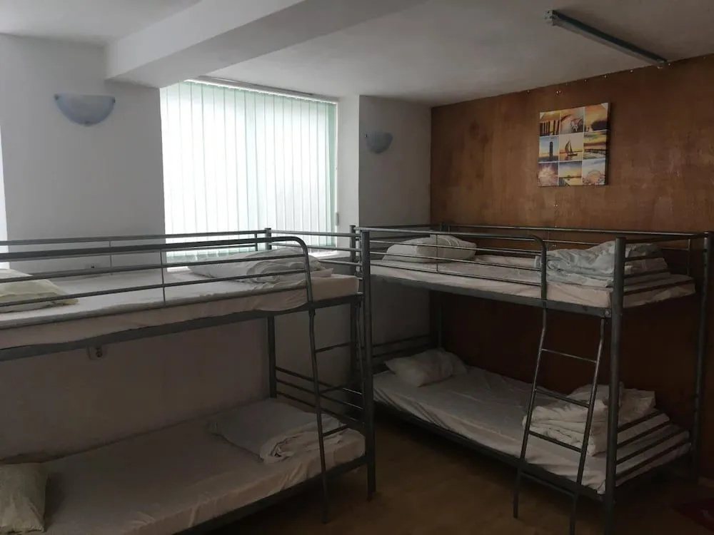 Hair of the Dog Hostel