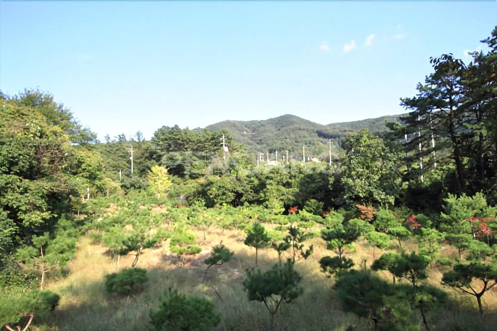 Yangpyeong Korean Log Pension