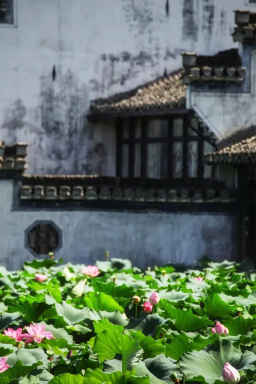 Huangshan Chenkan Su House Hotel