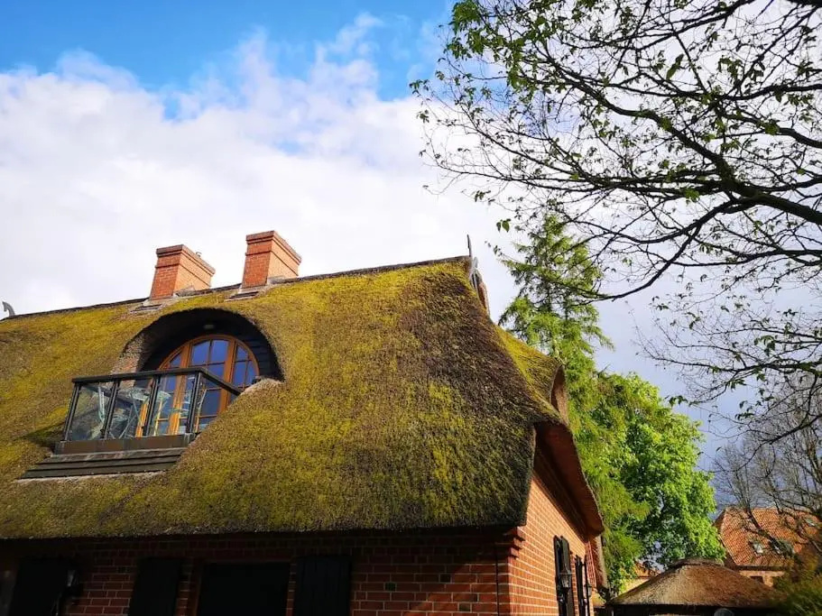 Reethaus Mit Meerblick- in 30 Sekunden Am Strand (Adults Only)