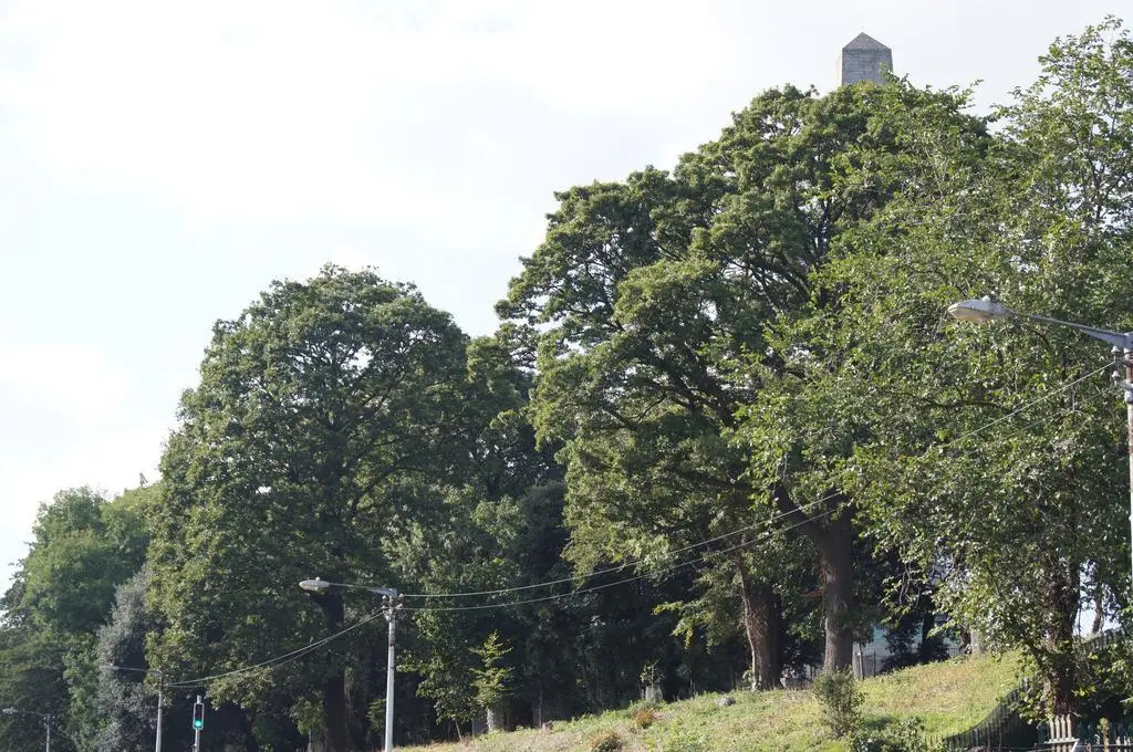 Phoenix Park View Holiday Apartment
