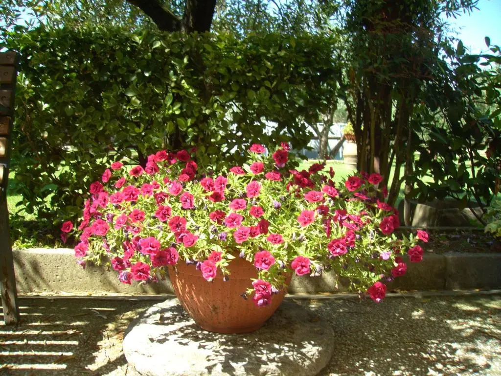 Tenuta Fagnani
