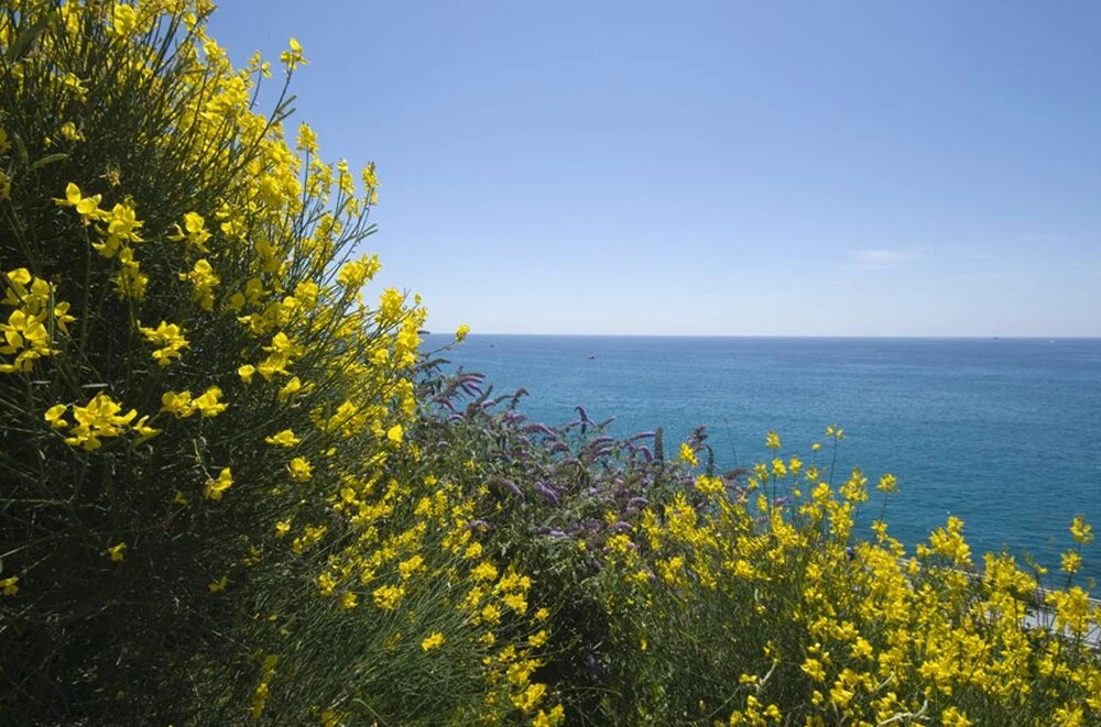 La Fiorita monolocale By Affitti Brevi Liguria