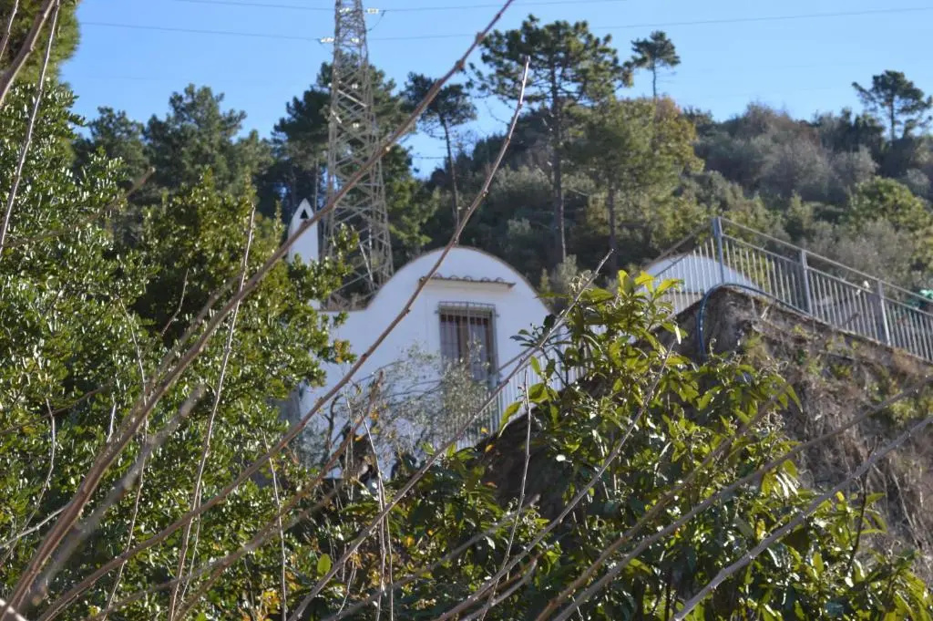 Trappeto Reginnacielo Holiday home