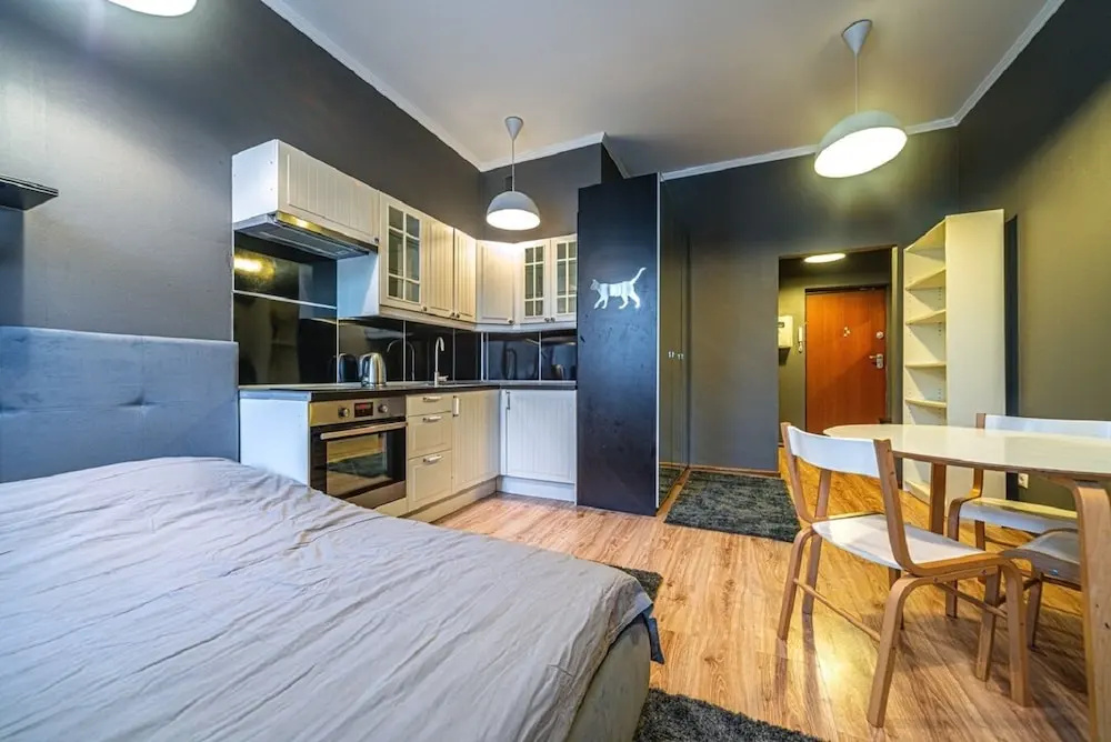 Апартаменты Loft Petrograd 2