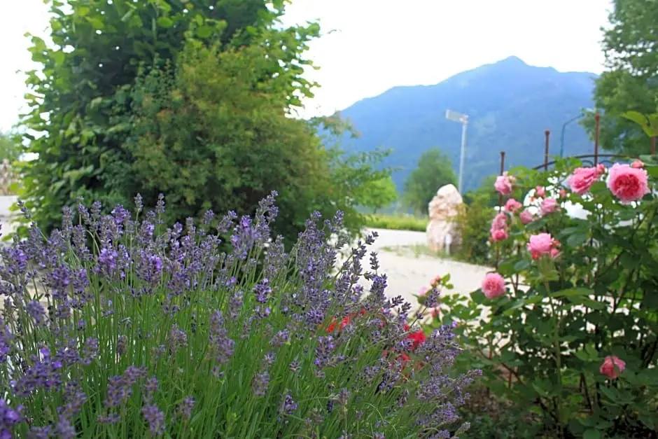 Landlust Ischl