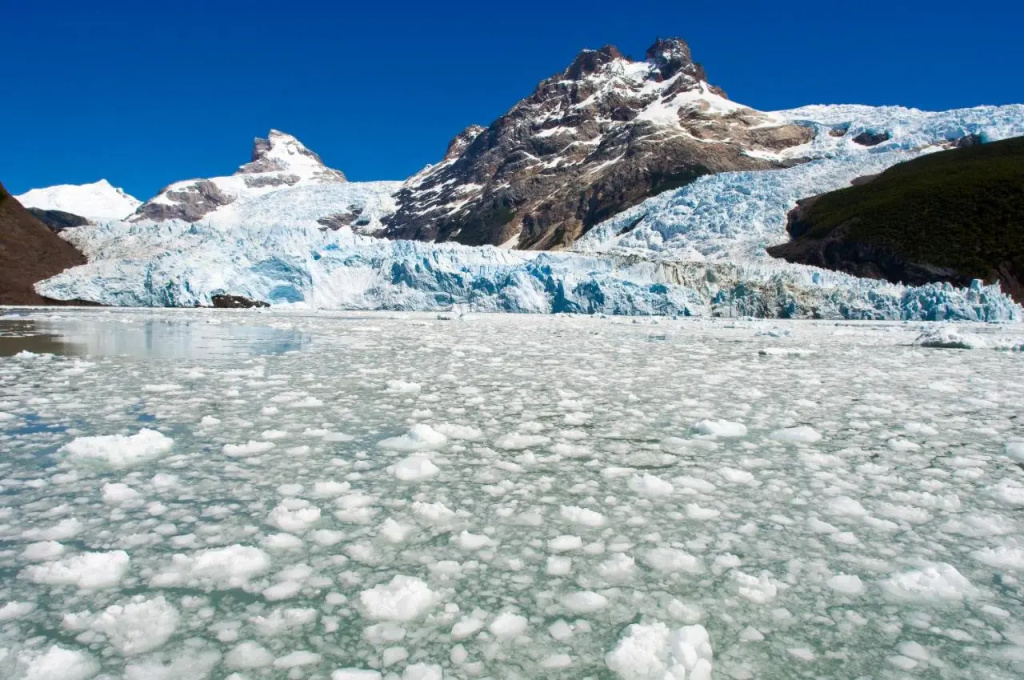 Sent Calafate