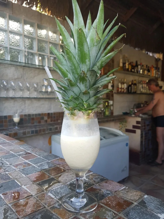 Paradise Inn