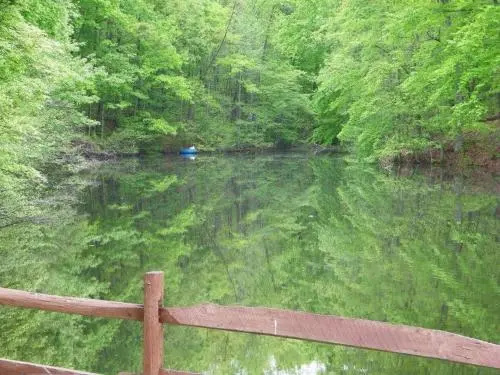Lake Myers Lakeside Villa 19