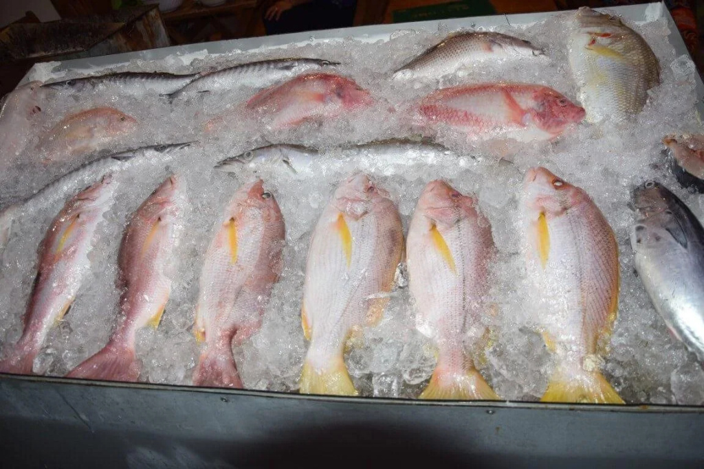 Ruby Phu Quoc Hostel