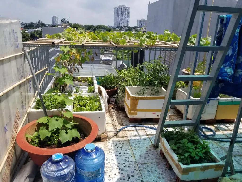 Ngoc Lan Homestay