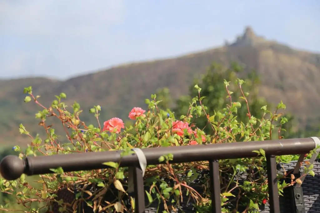 Tatin