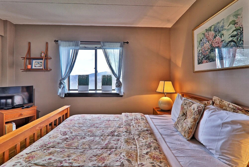 Mg 2B02 Mt Green Renovated 2Br Condo Close To Slopes