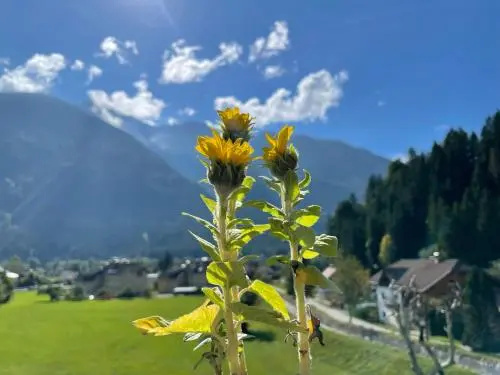 Frühstücks-Radpension Taurer-Thoman