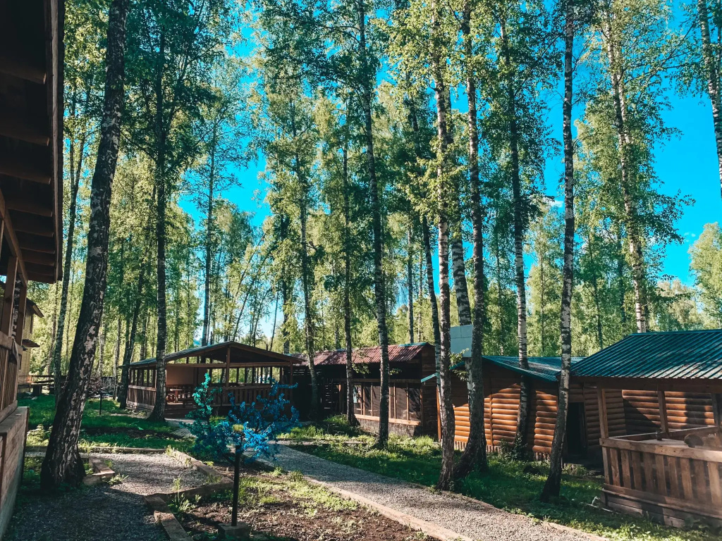 Хаски
