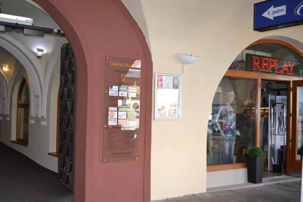 Hotel Dvorak