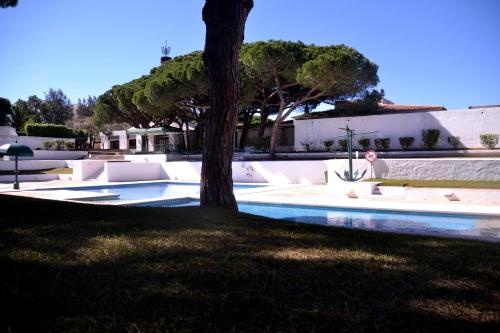 Sailing Studio Açoteias