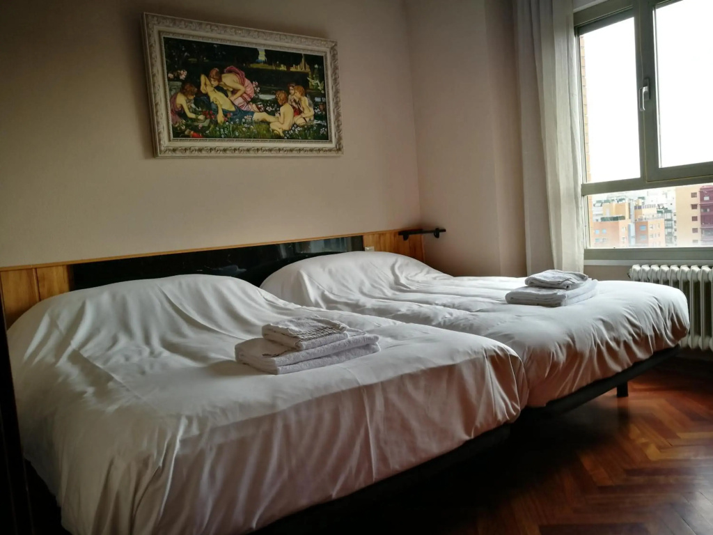 Apartamentos Suites Torr en Caja Mágica - Madrid