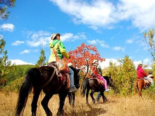 Lijiang Scenery Retreats Lake Front Villa Resort