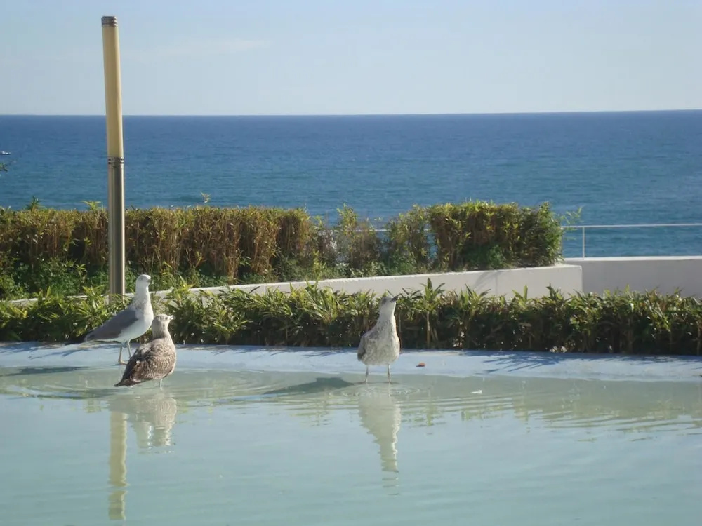 House With one Bedroom in Albufeira, With Wonderful City View, Enclose