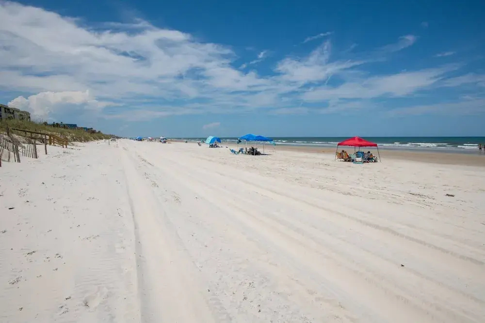 Sand Dollar 306